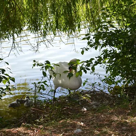 فندق Restaurant Des Lacs 2*