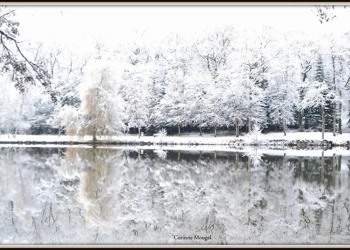 Отель Restaurant Des Lacs Контрексвиль