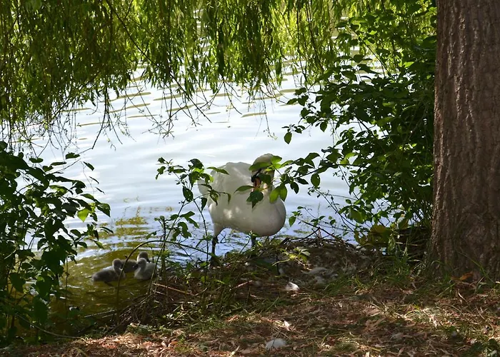 酒店 Restaurant Des Lacs 2*