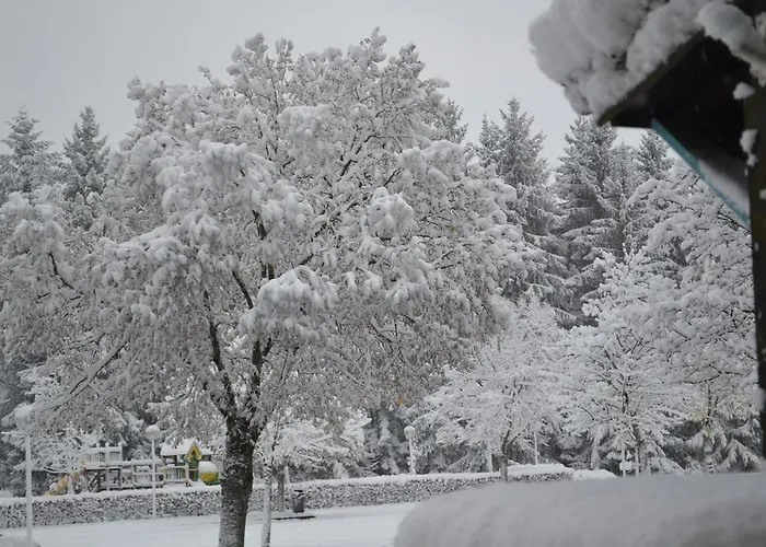 Restaurant Des Lacs 2*